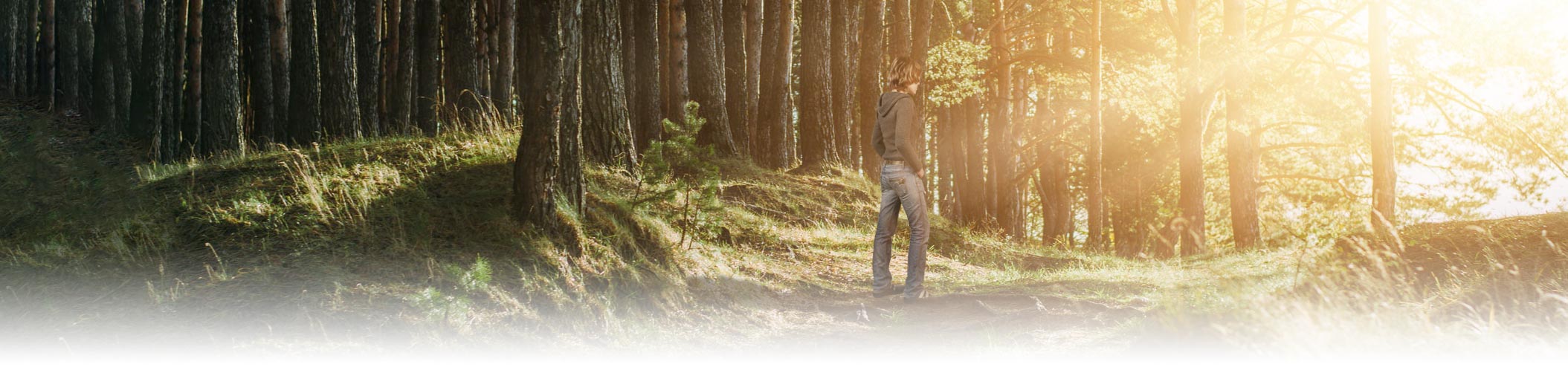 CBT OCD therapy anxiety mood disorders in London or online